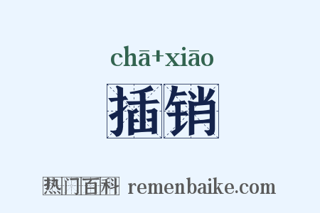 插销是什么意思的图片